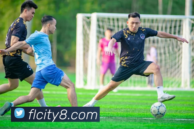 富丽新城官网品牌故事