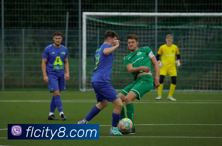 富丽新城官网服务体系